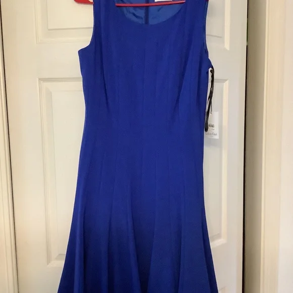 green emerald velvet dress Calvin Klein Women's Sleeveless Seamed Fit-and-Flare Dress, Ultramarine, 10  at Amazon Women's Clothing store